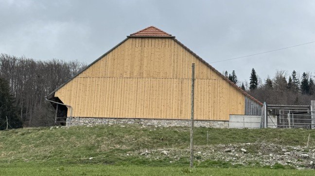 Rénovation de façade